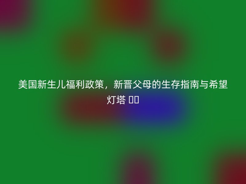 美国新生儿福利政策,新晋父母的生存指南与希望灯塔 ❤️