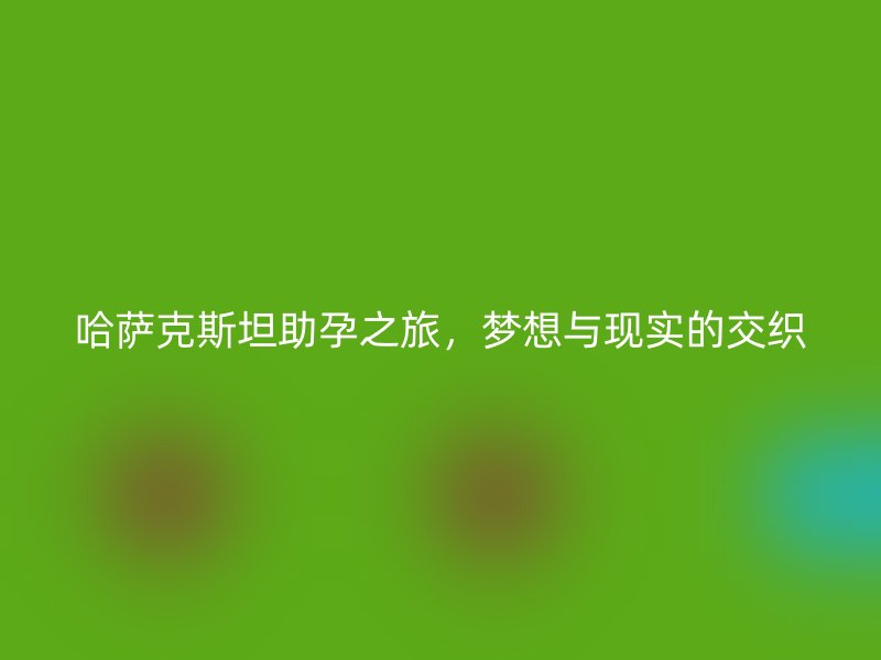 哈萨克斯坦助孕之旅,梦想与现实的交织