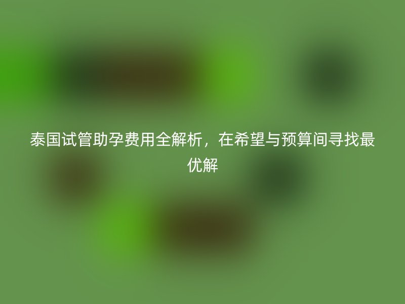 泰国试管助孕费用全解析，在希望与预算间寻找最优解