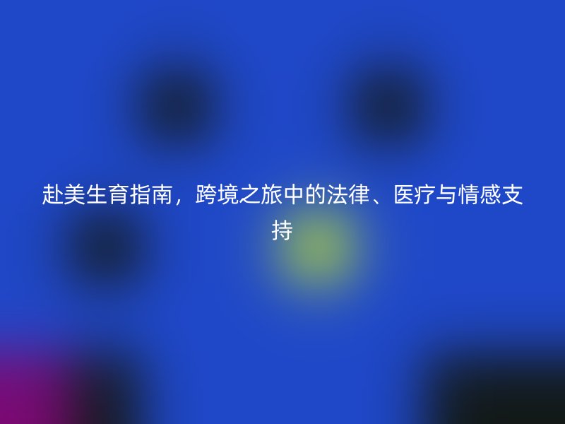 赴美生育指南，跨境之旅中的法律、医疗与情感支持
