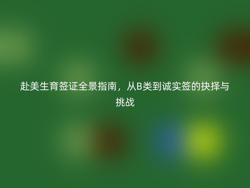 赴美生育签证全景指南,从B类到诚实签的抉择与挑战