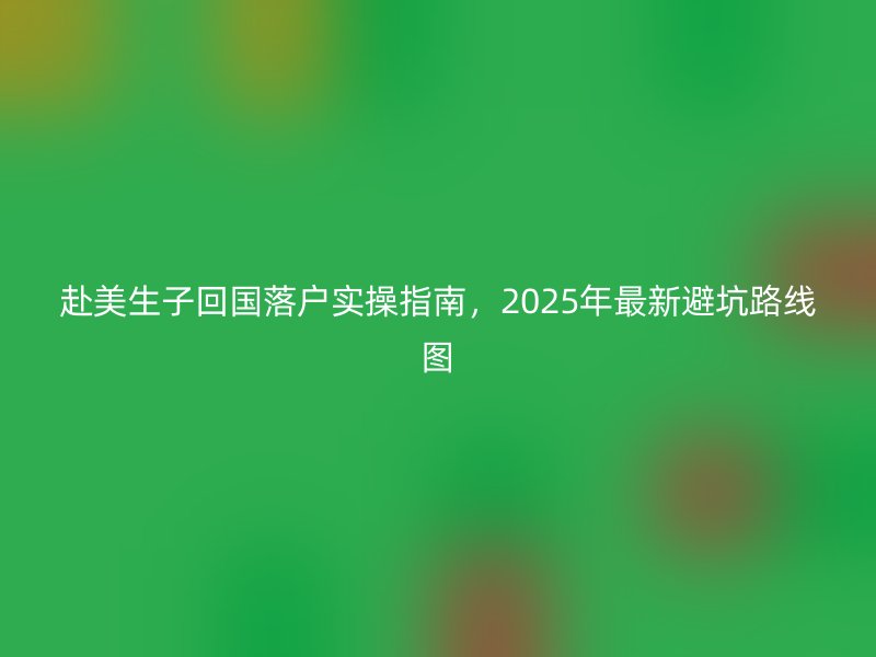 赴美生子回国落户实操指南，2025年最新避坑路线图