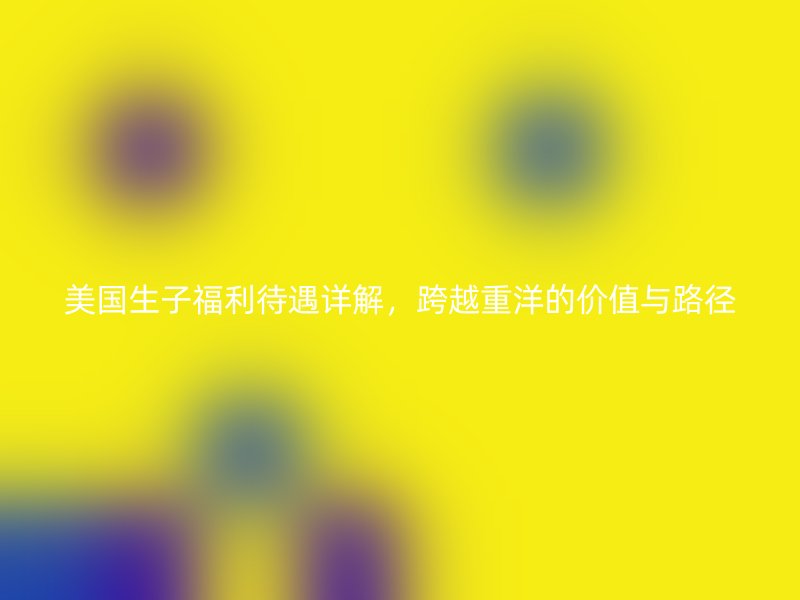美国生子福利待遇详解，跨越重洋的价值与路径